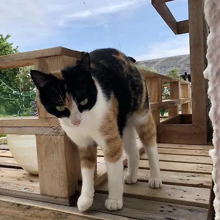 Domaine Les Chillards Prázdninový dům *